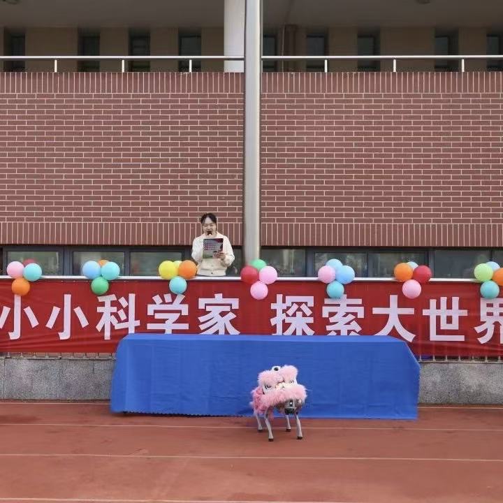 淮安枫香路小学2025科技节